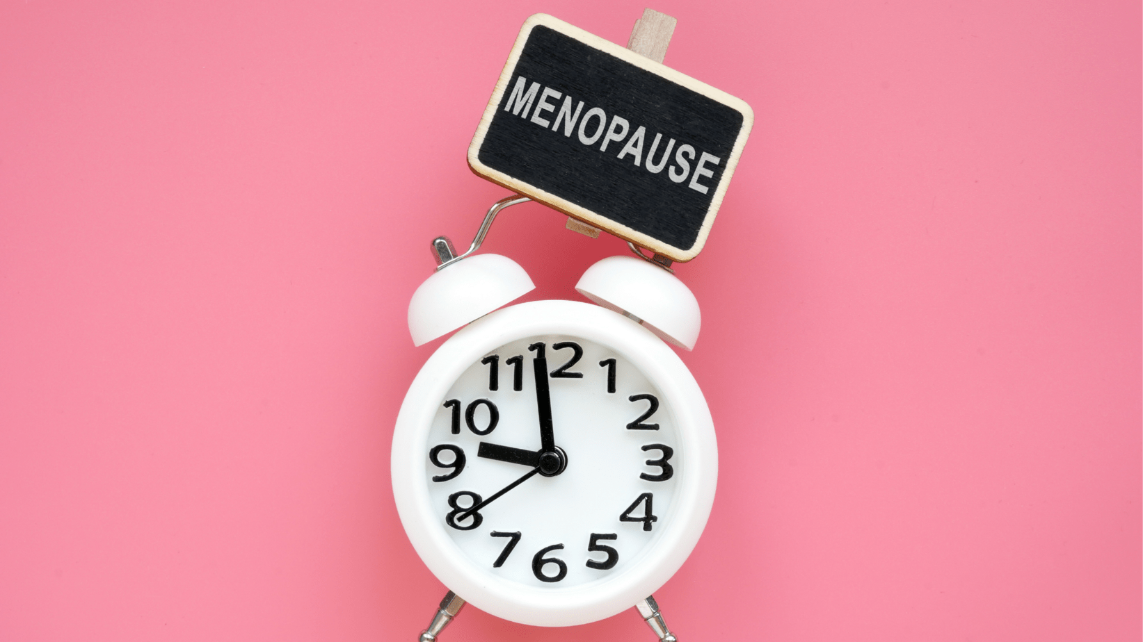 world menopause day